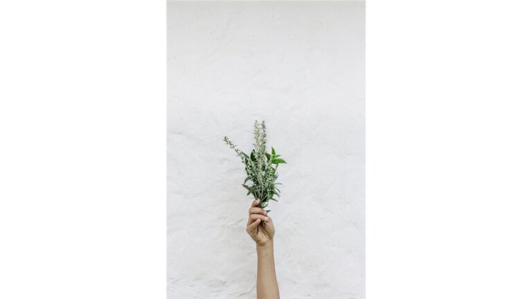 Banhos Mágicos da Cigana Carmem