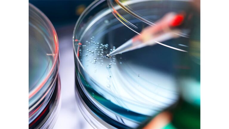 Estudo de Biologia para ENEM