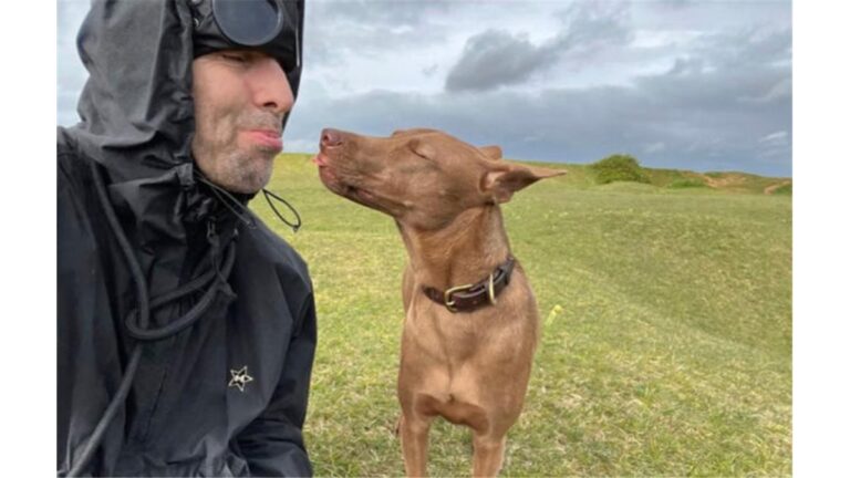 Liam Gallagher é reconhecido por contribuições à causa animal